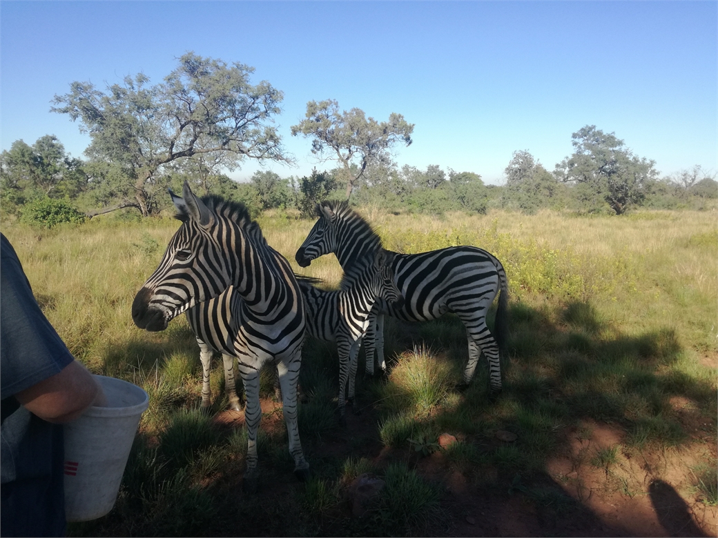 IMG_20180422_083209