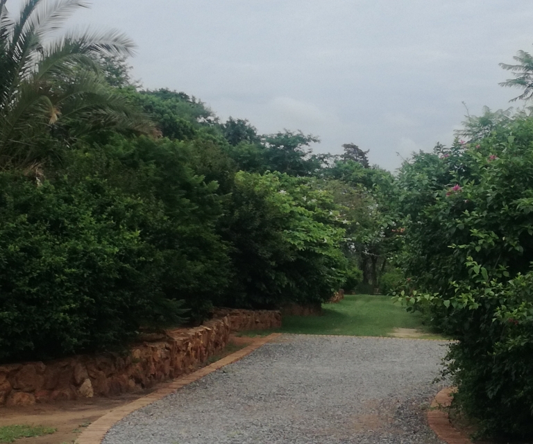 Gardens