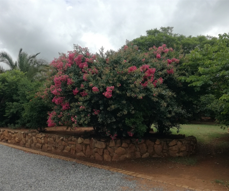Gardens